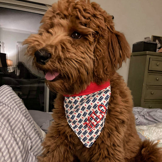 personalized dog bandana