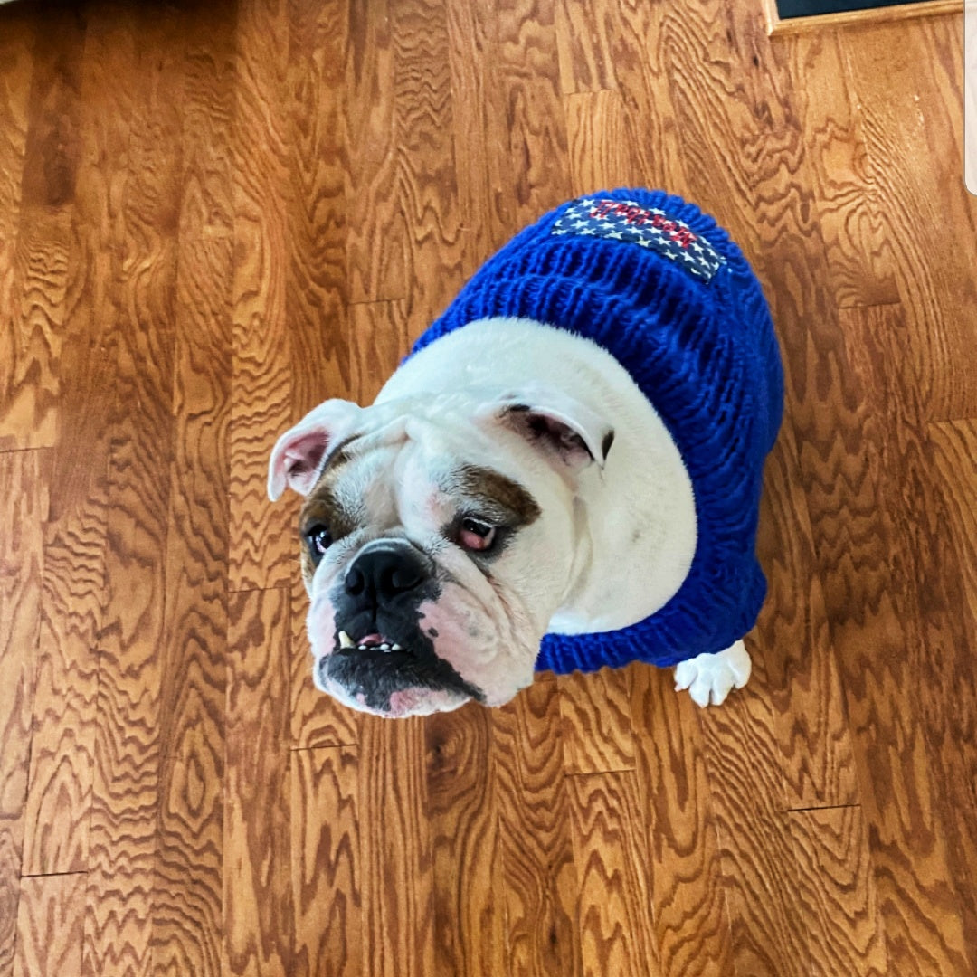 crochet bulldog sweater