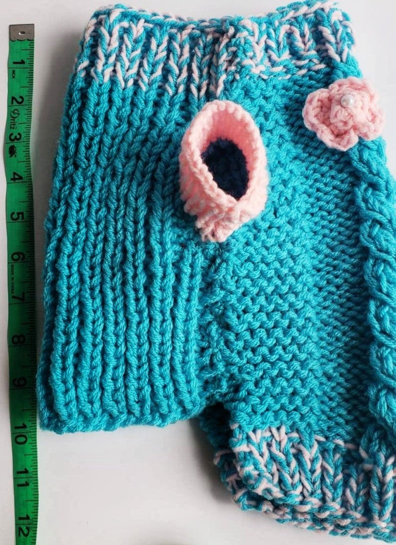 crochet dog sweater